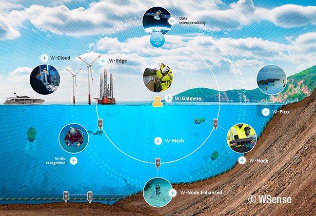 wsense graphic chart